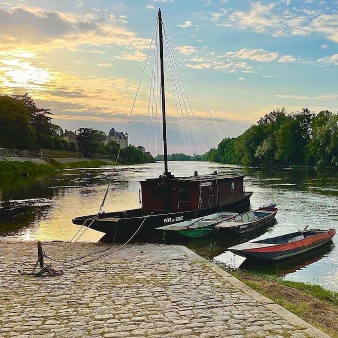 Le 20 La Loire Maison De Bord De Loire Chalonnes-sur-Loire Exteriör bild